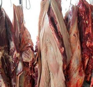 驴肉