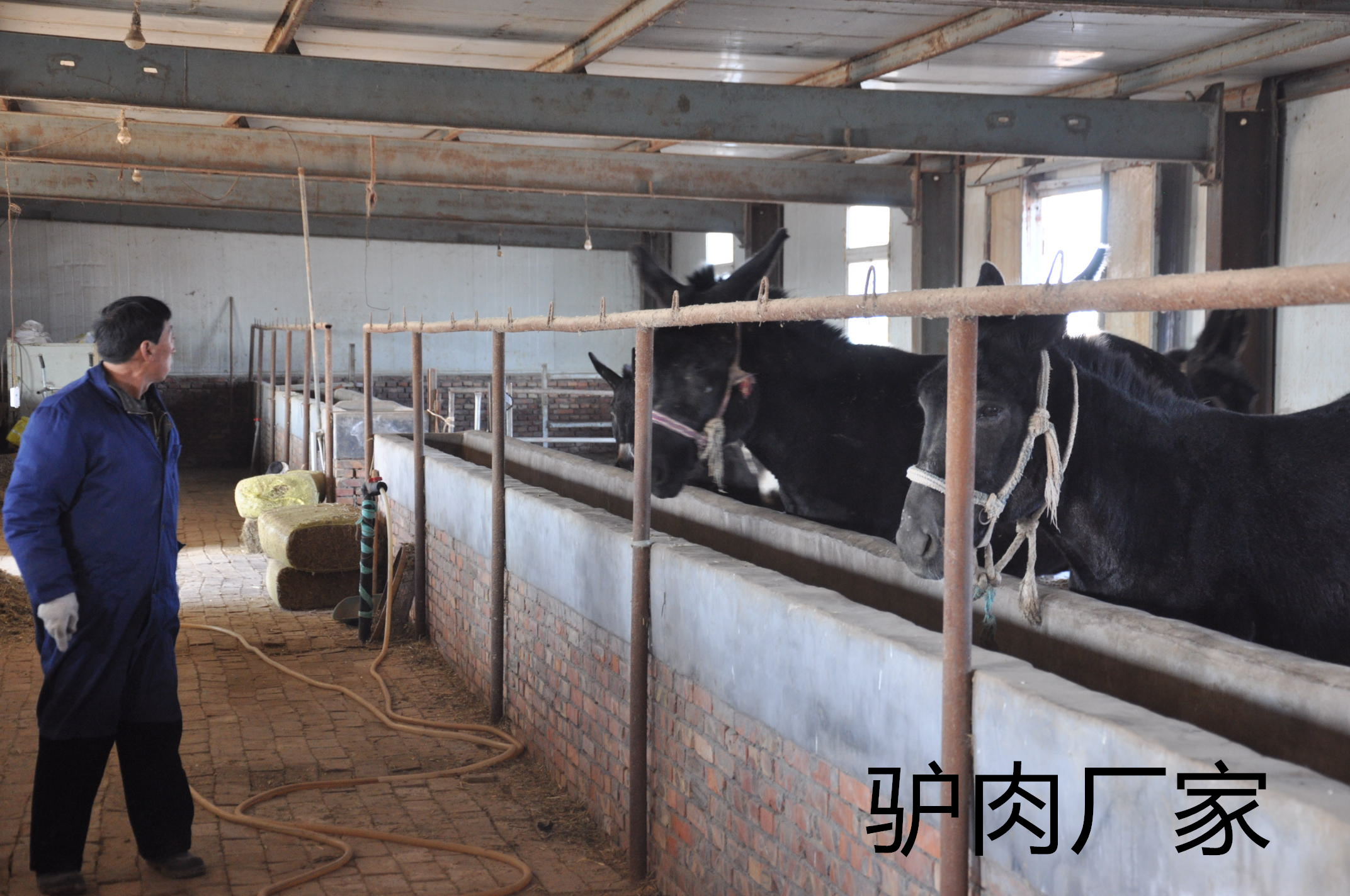 驴肉厂家严格把控每一个生产环节，打好质量根基